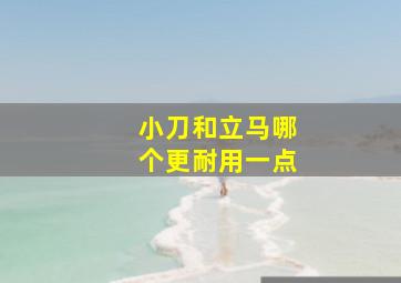 小刀和立马哪个更耐用一点