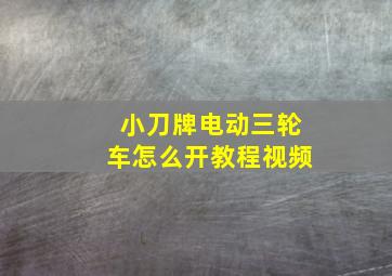 小刀牌电动三轮车怎么开教程视频