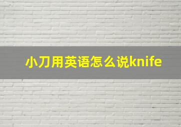 小刀用英语怎么说knife