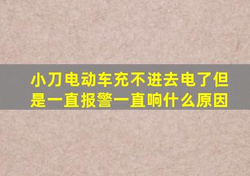 小刀电动车充不进去电了但是一直报警一直响什么原因