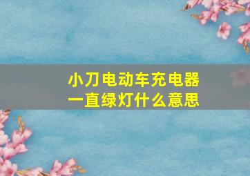 小刀电动车充电器一直绿灯什么意思