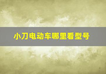 小刀电动车哪里看型号