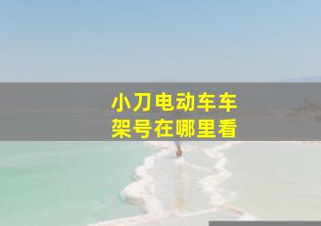 小刀电动车车架号在哪里看