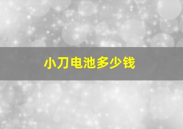 小刀电池多少钱