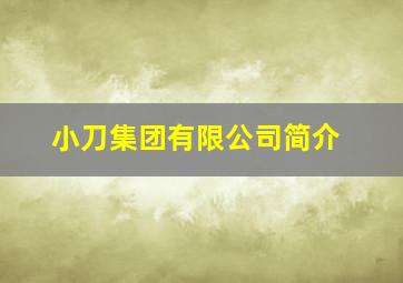 小刀集团有限公司简介