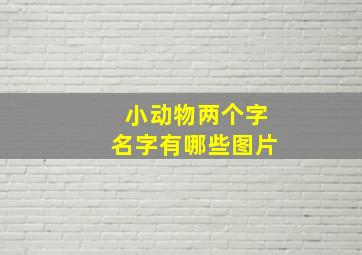 小动物两个字名字有哪些图片