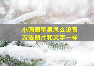 小圆圈苹果怎么设置方法图片和文字一样