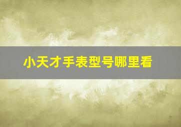 小天才手表型号哪里看