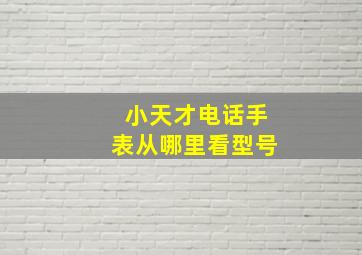 小天才电话手表从哪里看型号