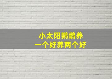 小太阳鹦鹉养一个好养两个好