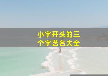 小字开头的三个字艺名大全