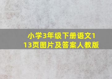 小学3年级下册语文113页图片及答案人教版