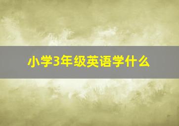 小学3年级英语学什么