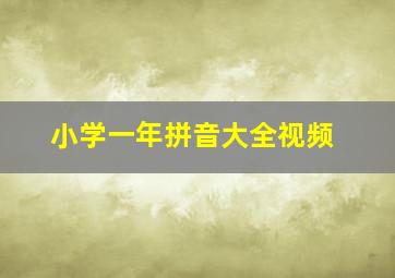 小学一年拼音大全视频