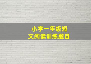 小学一年级短文阅读训练题目