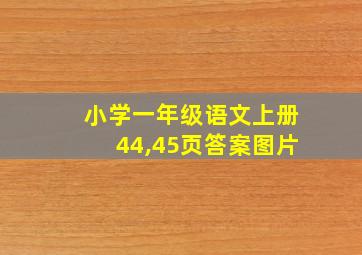 小学一年级语文上册44,45页答案图片