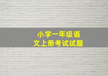 小学一年级语文上册考试试题