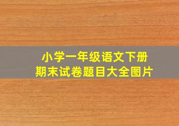 小学一年级语文下册期末试卷题目大全图片