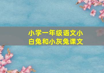 小学一年级语文小白兔和小灰兔课文