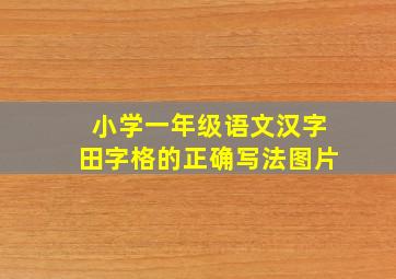 小学一年级语文汉字田字格的正确写法图片