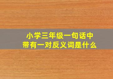 小学三年级一句话中带有一对反义词是什么