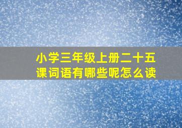 小学三年级上册二十五课词语有哪些呢怎么读