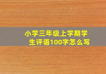 小学三年级上学期学生评语100字怎么写