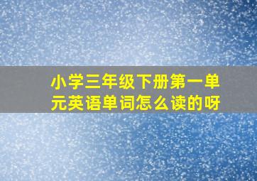 小学三年级下册第一单元英语单词怎么读的呀