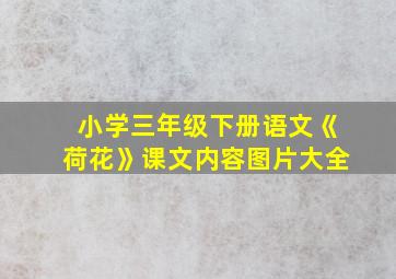 小学三年级下册语文《荷花》课文内容图片大全