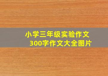 小学三年级实验作文300字作文大全图片