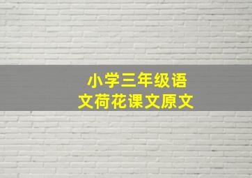 小学三年级语文荷花课文原文