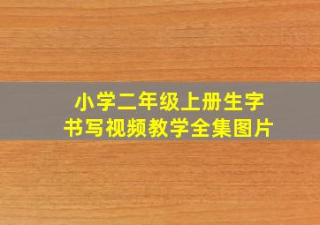 小学二年级上册生字书写视频教学全集图片