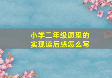 小学二年级愿望的实现读后感怎么写