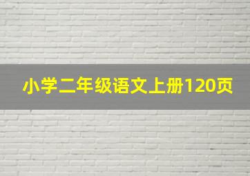 小学二年级语文上册120页