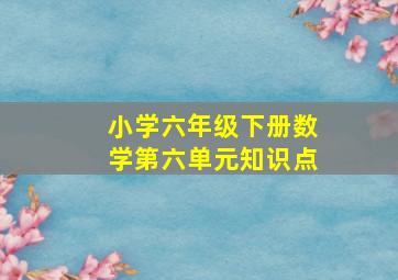 小学六年级下册数学第六单元知识点