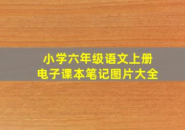 小学六年级语文上册电子课本笔记图片大全