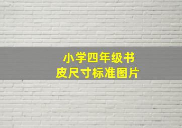 小学四年级书皮尺寸标准图片