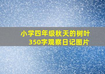 小学四年级秋天的树叶350字观察日记图片