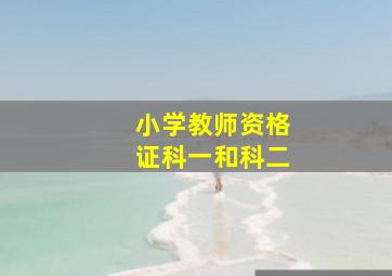 小学教师资格证科一和科二