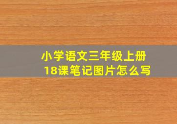 小学语文三年级上册18课笔记图片怎么写