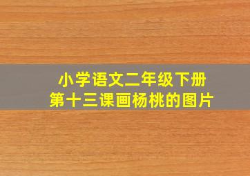 小学语文二年级下册第十三课画杨桃的图片