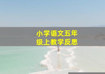 小学语文五年级上教学反思