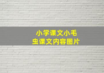 小学课文小毛虫课文内容图片