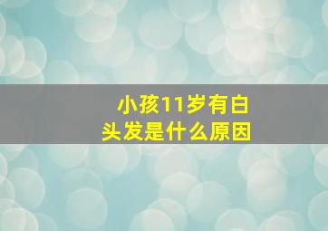 小孩11岁有白头发是什么原因