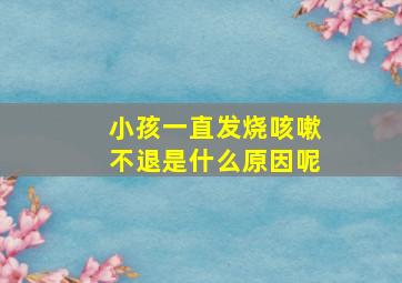 小孩一直发烧咳嗽不退是什么原因呢