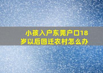 小孩入户东莞户口18岁以后回迁农村怎么办