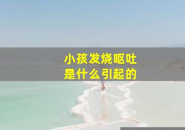 小孩发烧呕吐是什么引起的