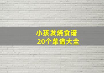 小孩发烧食谱20个菜谱大全