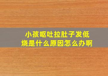 小孩呕吐拉肚子发低烧是什么原因怎么办啊