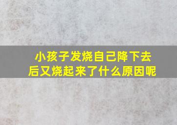 小孩子发烧自己降下去后又烧起来了什么原因呢